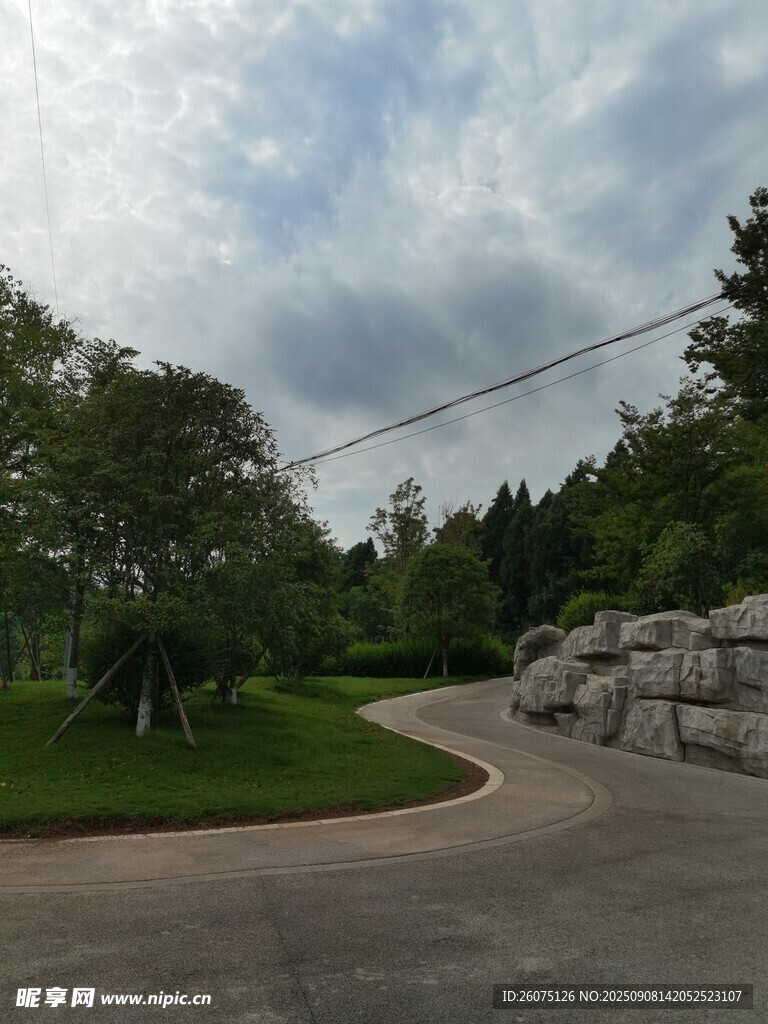 蜿蜒小路旁的绿意景致
