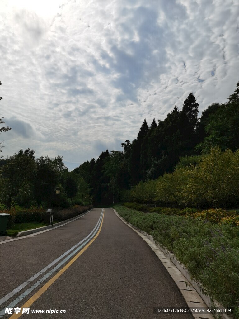 蜿蜒公路穿行于绿意之间
