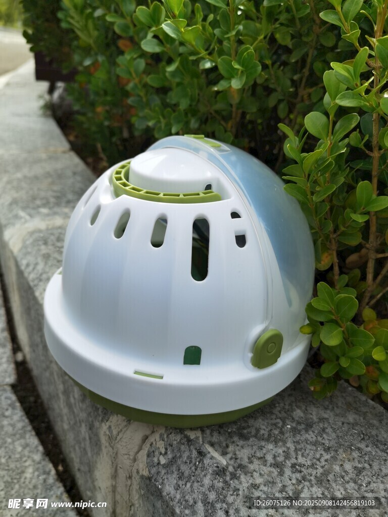 白色宠物窝置于绿植旁
