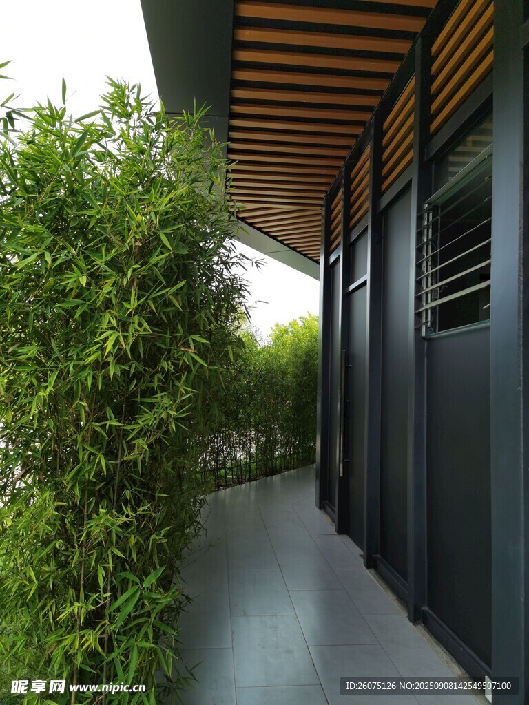 现代庭院走廊绿植景观