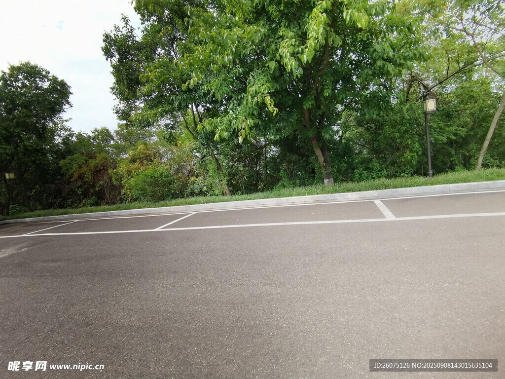 空旷道路旁停车位与葱郁绿树