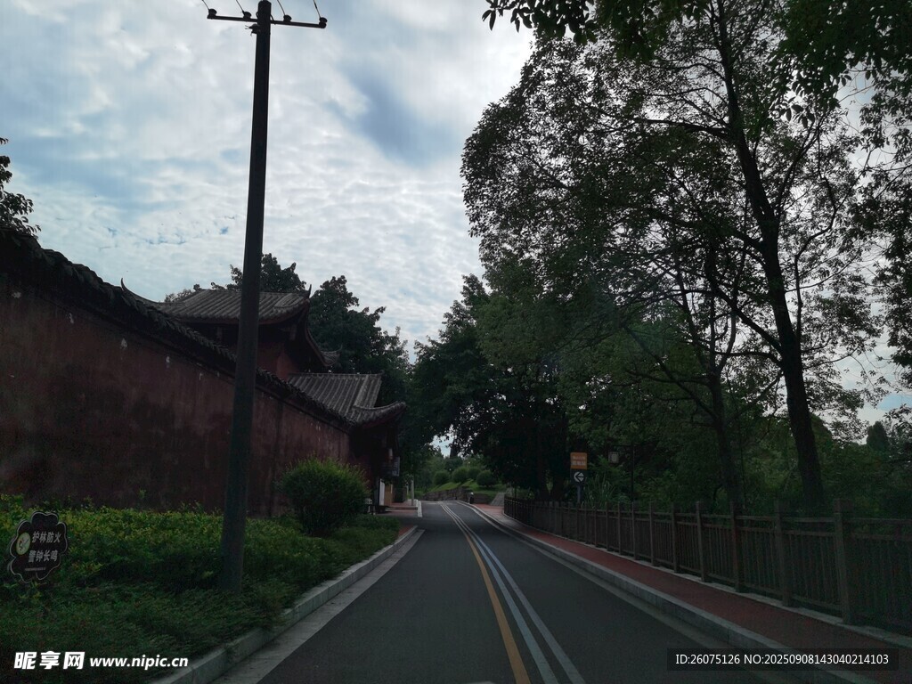 乡村公路旁的绿树与建筑