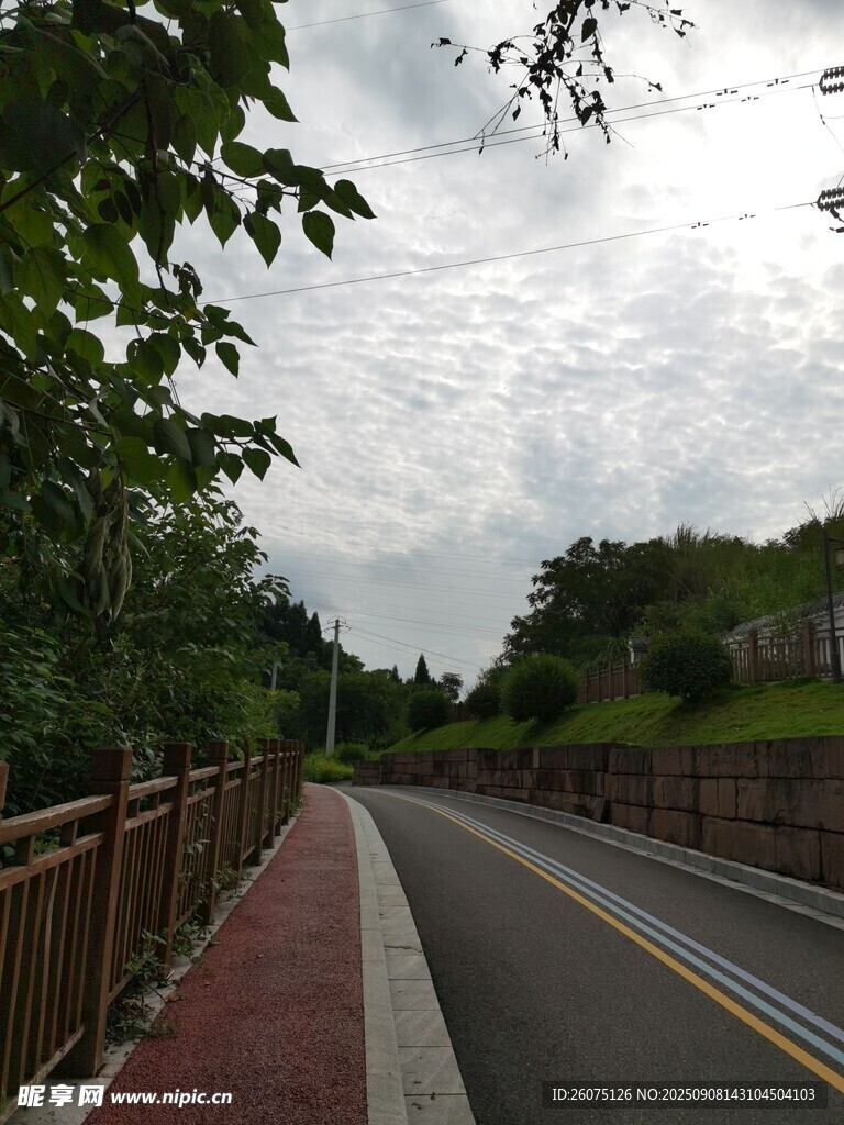 郊外公路旁的自然风景