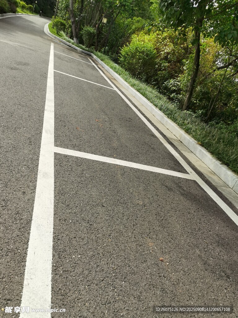 道路上的白色停车位标线