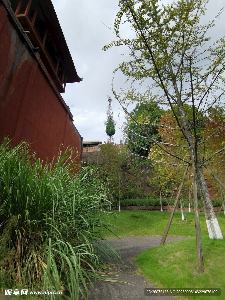 红屋旁的绿植小径