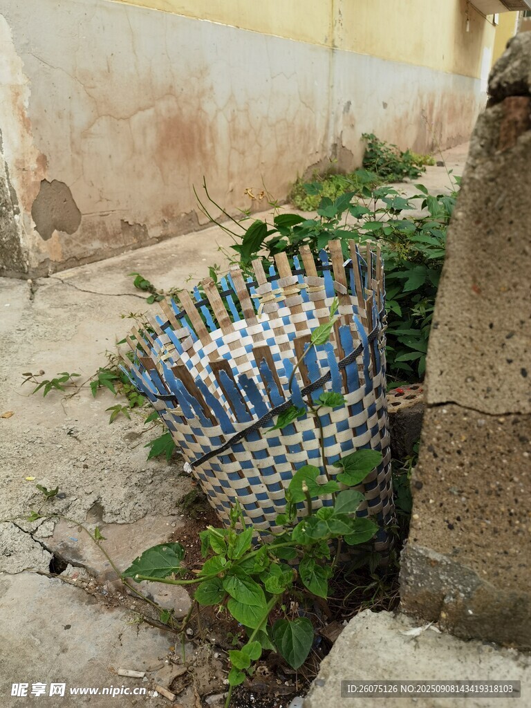 废弃彩条编织物于杂草间
