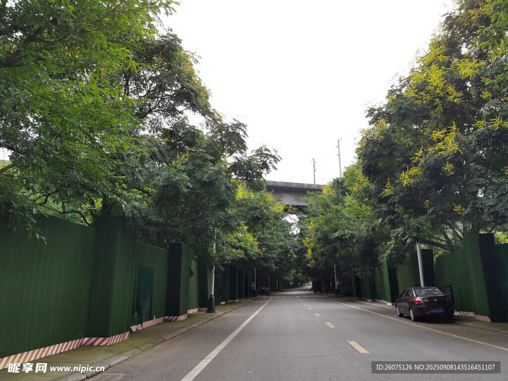 绿树环绕的幽静道路
