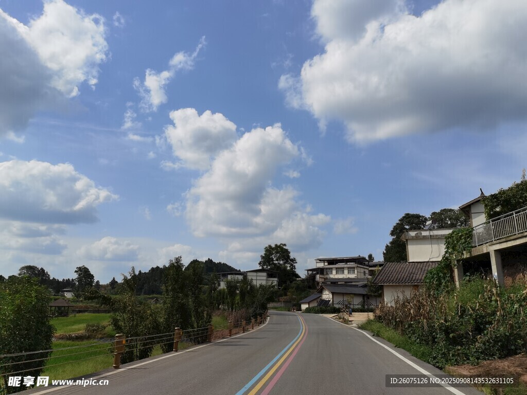 乡村公路风景