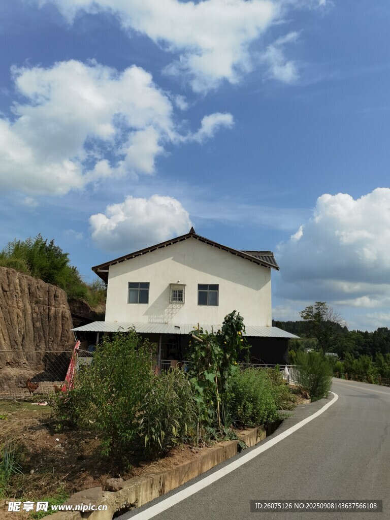 乡村路旁的两层白色民居