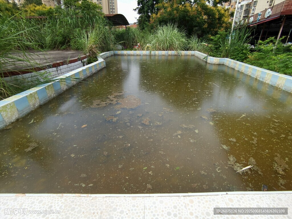 户外废弃狭长积水的浅水池