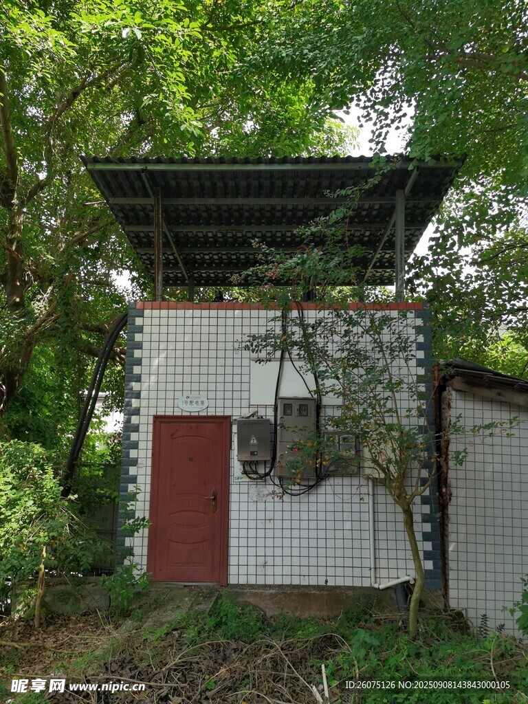 林间小屋隐于绿意之中