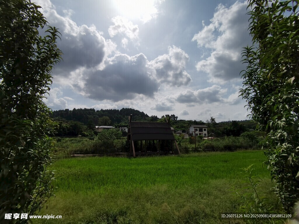 田园绿野间的自然景致
