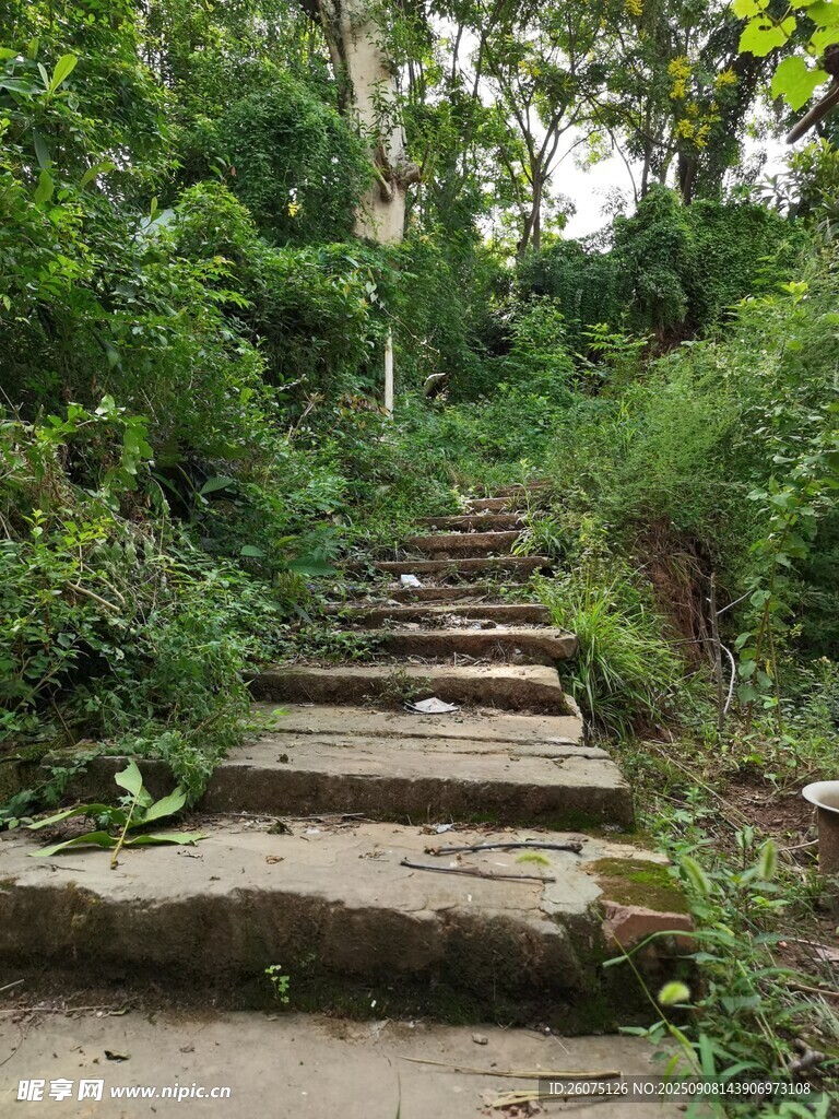 林间石阶漫步自然小径