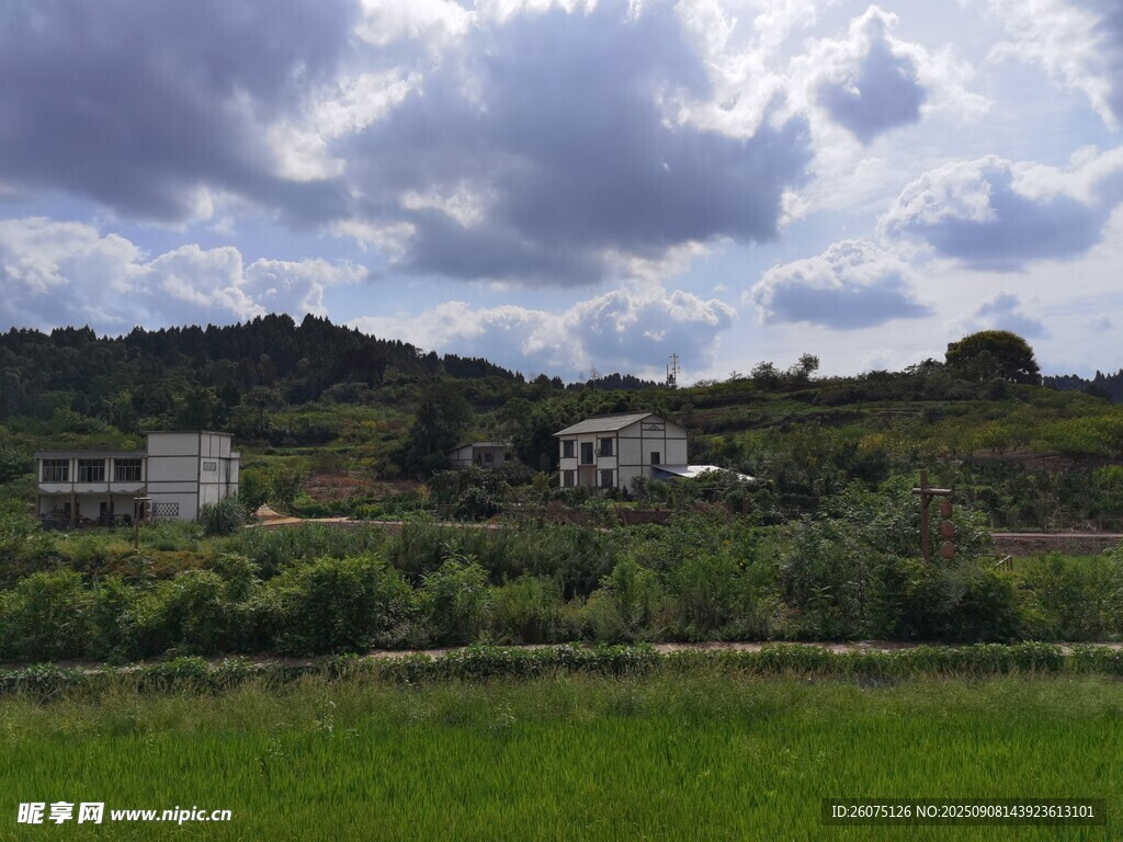 乡村绿野间的宁静景致