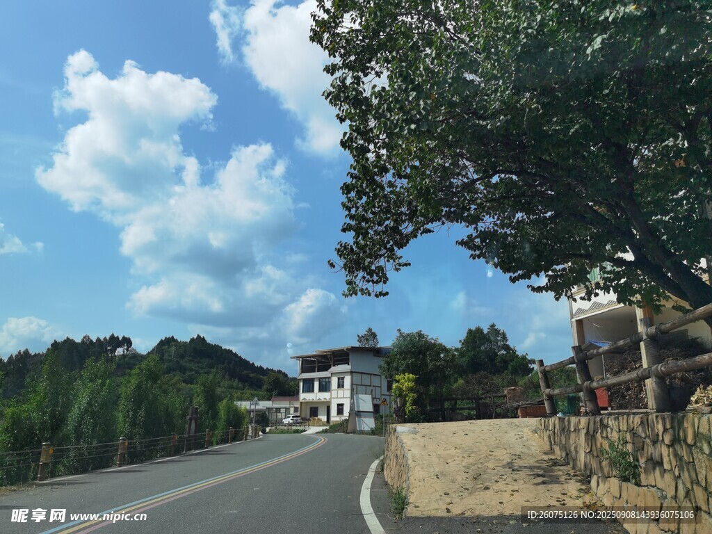 乡村公路旁的宁静景致