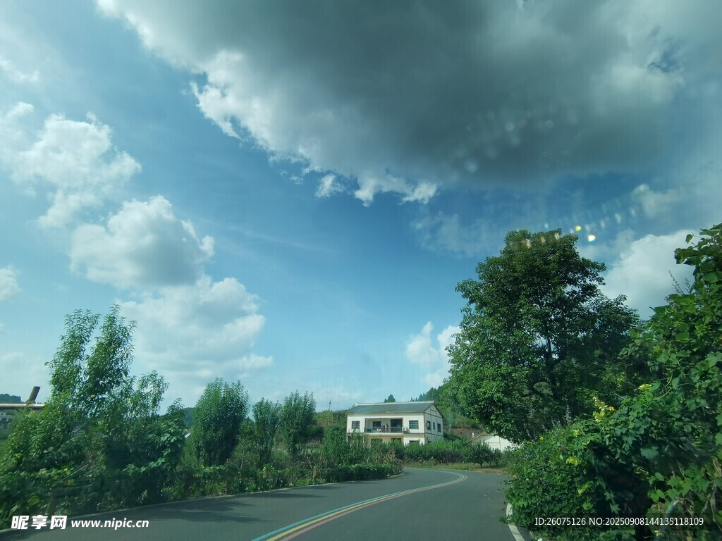 乡村公路旁的绿树蓝天