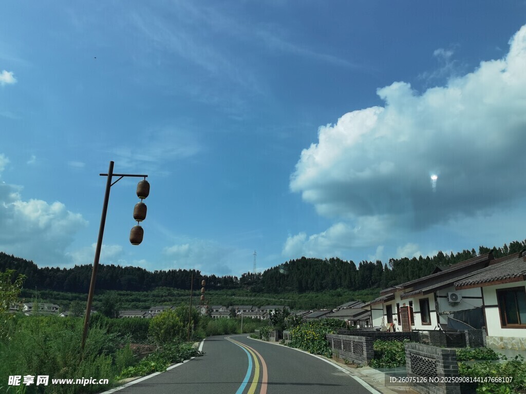 乡村公路旁的宁静风景