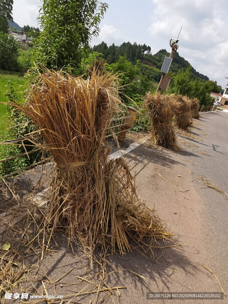 路边的干草堆