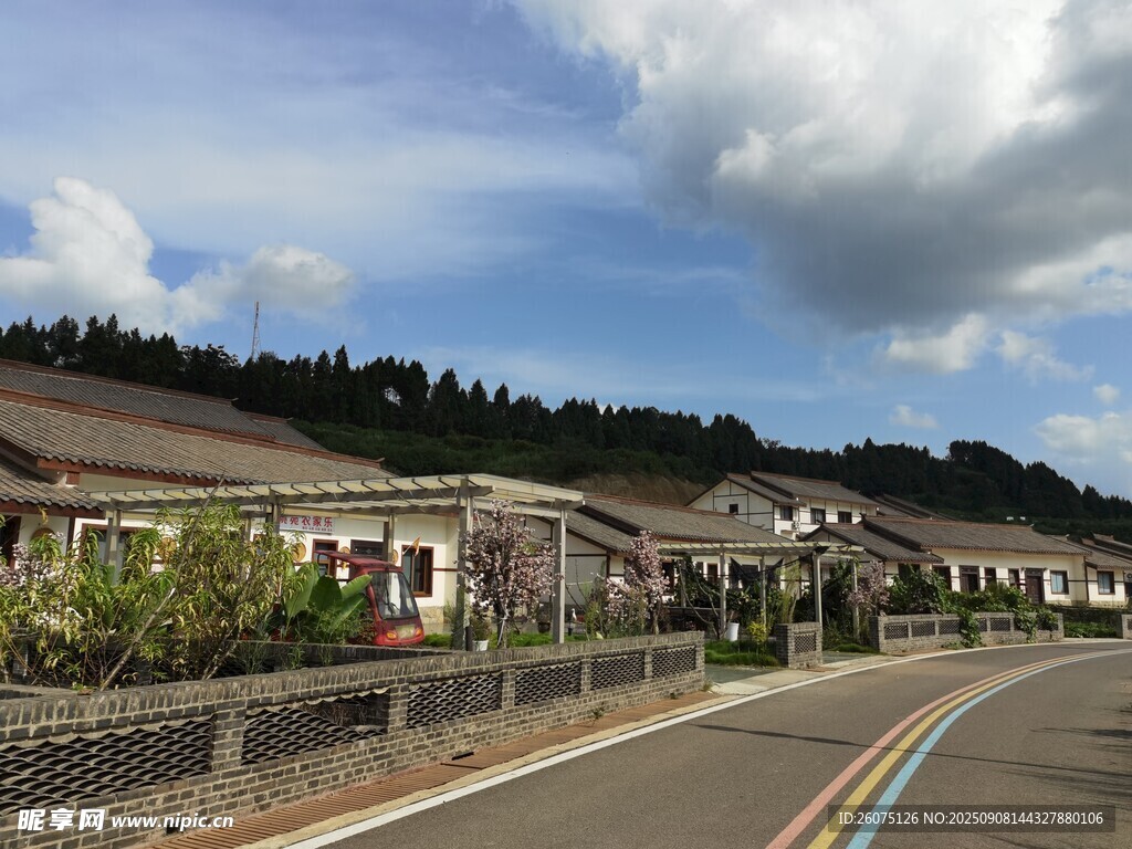 乡村公路旁的宁静村落