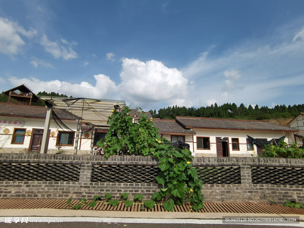 乡村民居宁静田园风光