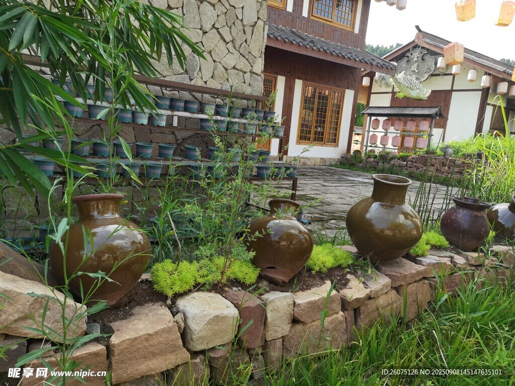 庭院陶罐绿植景观一角