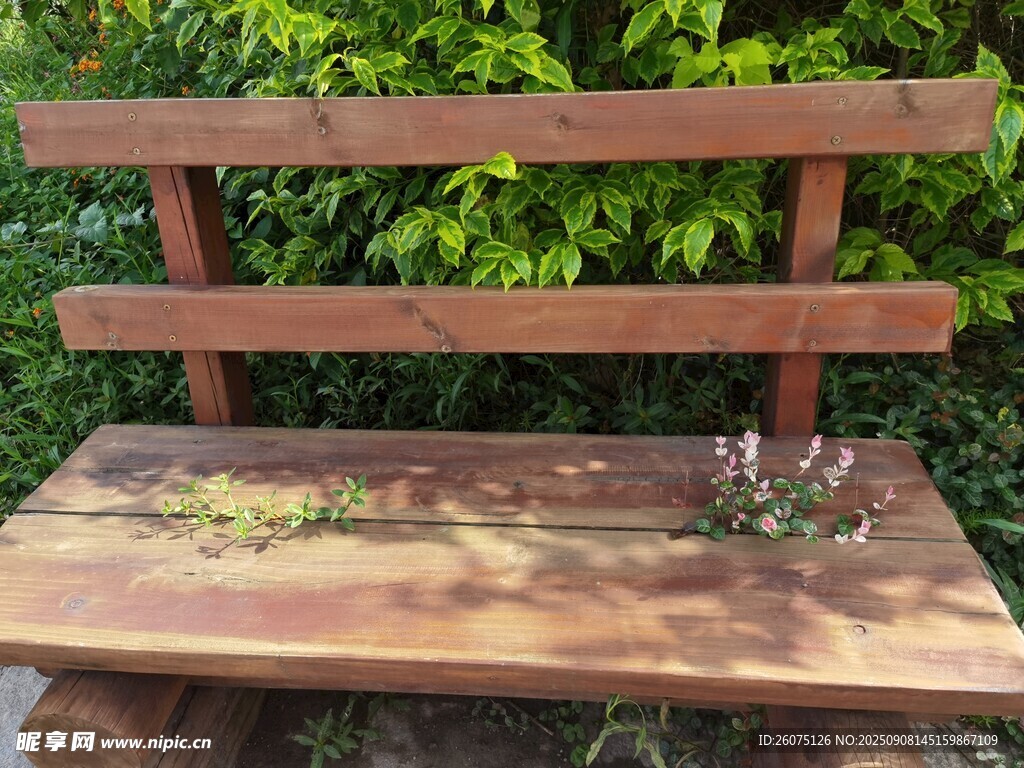 户外木质长椅绿植相伴