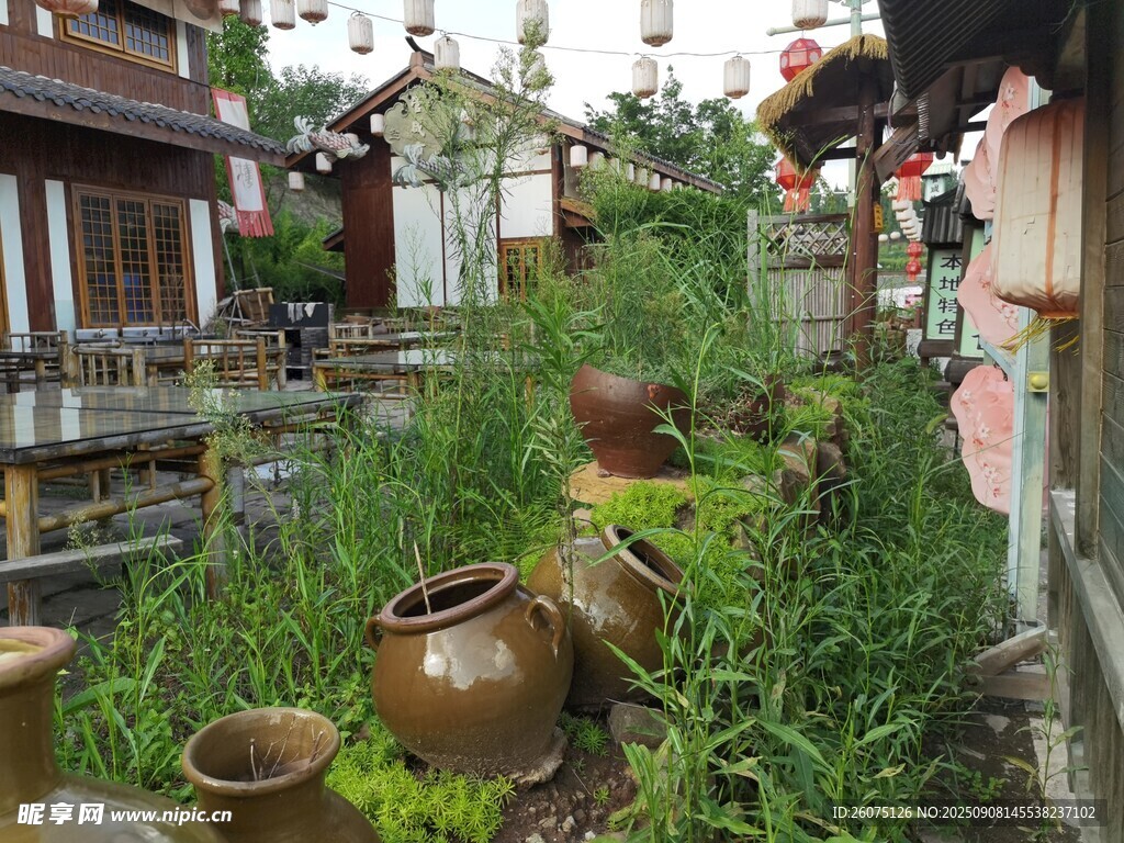 古雅庭院中的绿植与陶罐