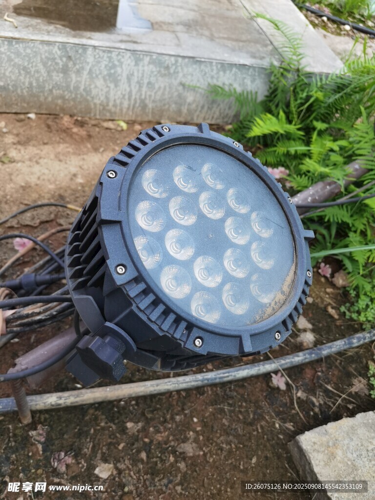 户外投射灯置于绿植旁