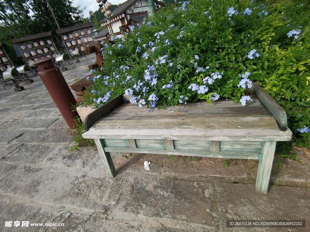 复古木质长椅旁的蓝花