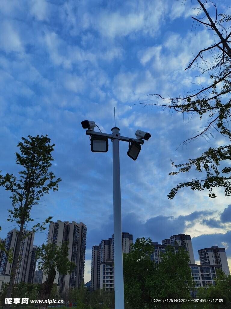 城市路灯监控设施与蓝天绿树景观
