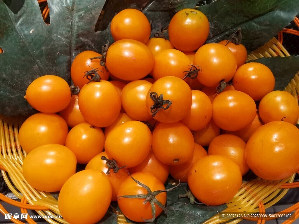 竹篮中的金黄小番茄