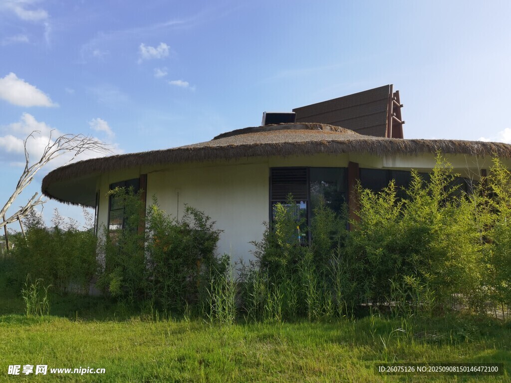 圆形小屋隐于绿意之中
