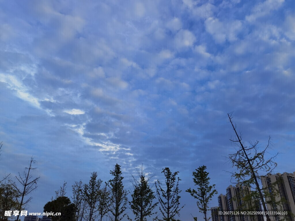 蓝天绿树间的美好景致