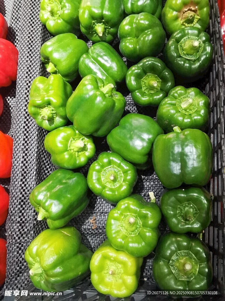 新鲜青椒整齐摆放