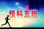 班旗队旗