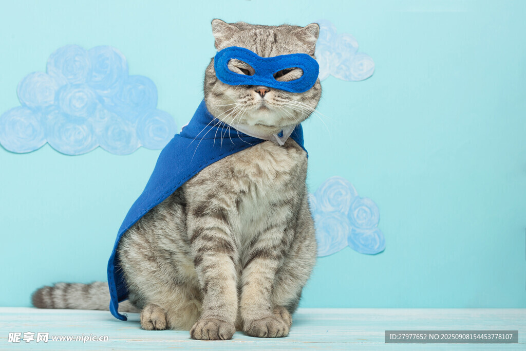 猫咪变身超级英雄