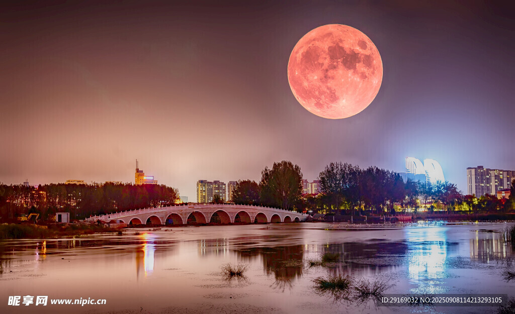 湖畔月夜美景