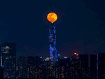 广州塔月夜美景