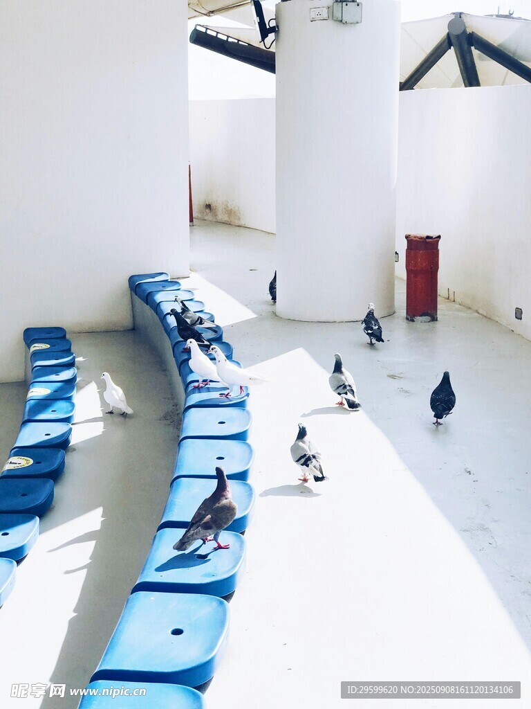 现代简约风格室内公共空间
