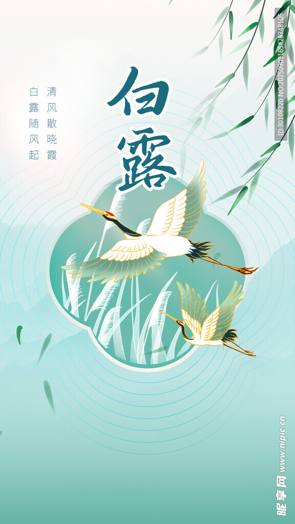 白露