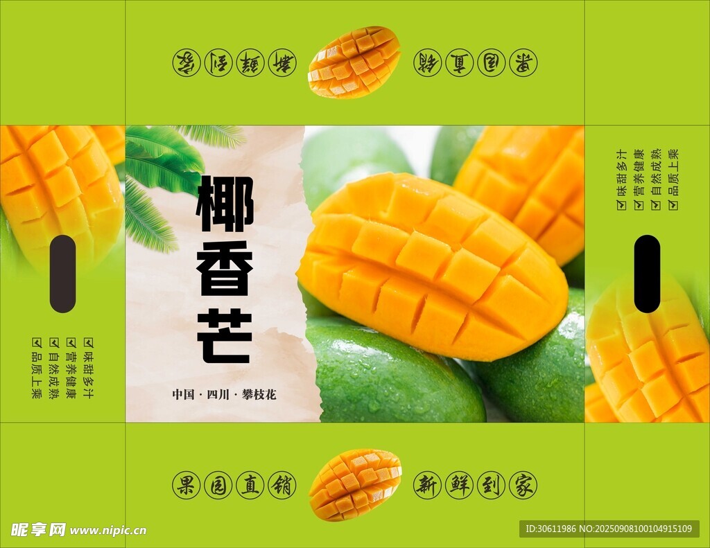 芒果包装 平面展开图
