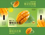 芒果包装盒 平面展开图