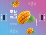 芒果包装盒 平面展开图