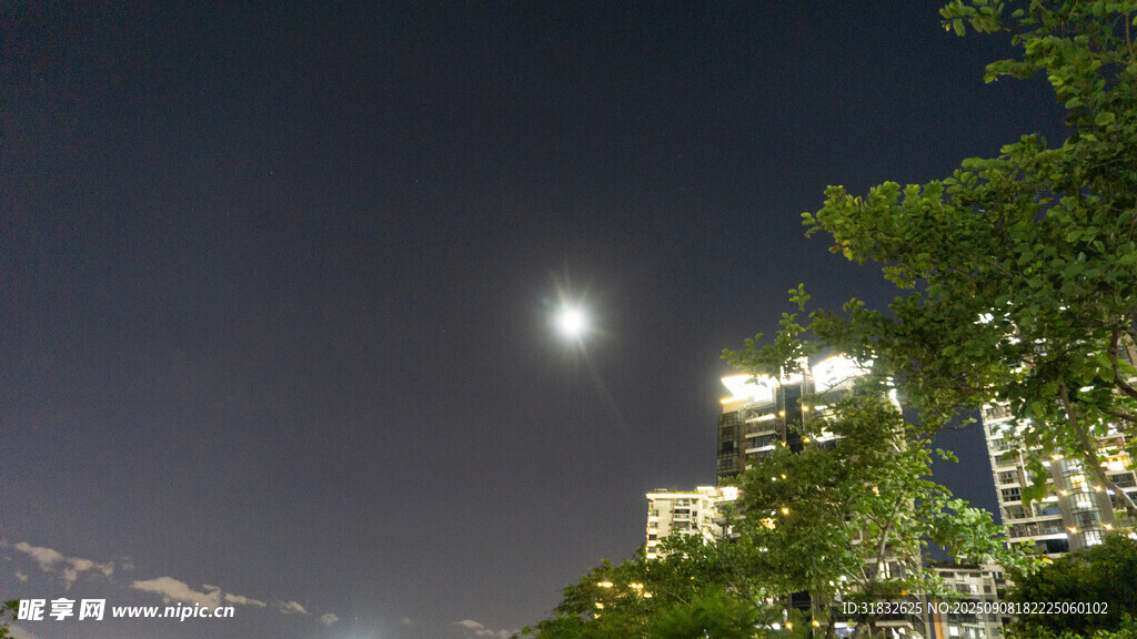 月夜下的城市与葱郁树木