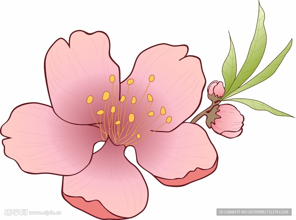 桃花