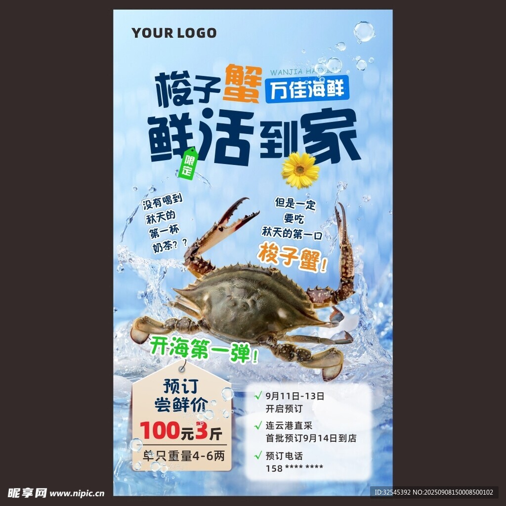 梭子蟹 螃蟹