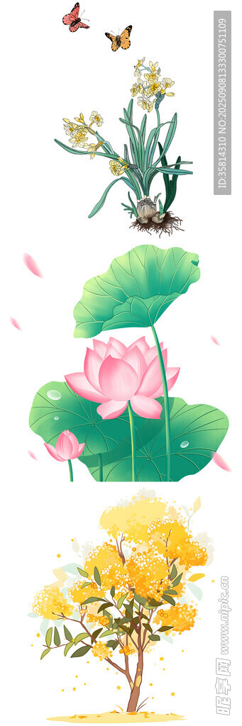 四季花卉飞鸟自然景象
