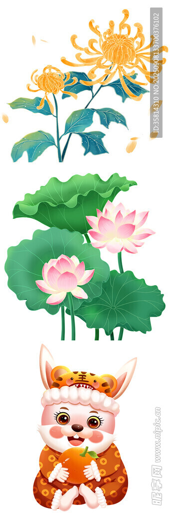 荷花旁的可爱招财猫