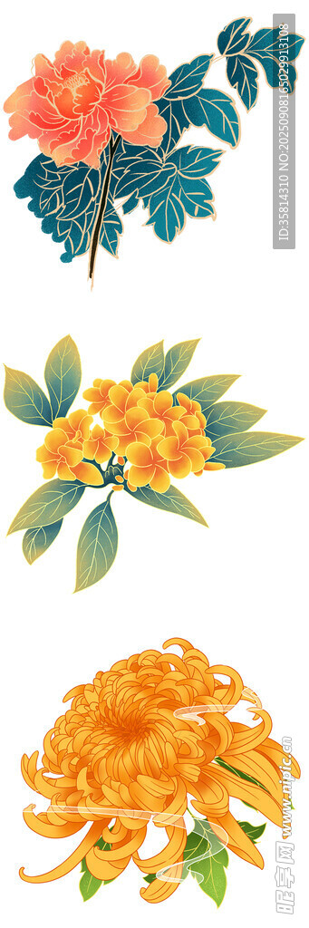 多彩花卉图案素材