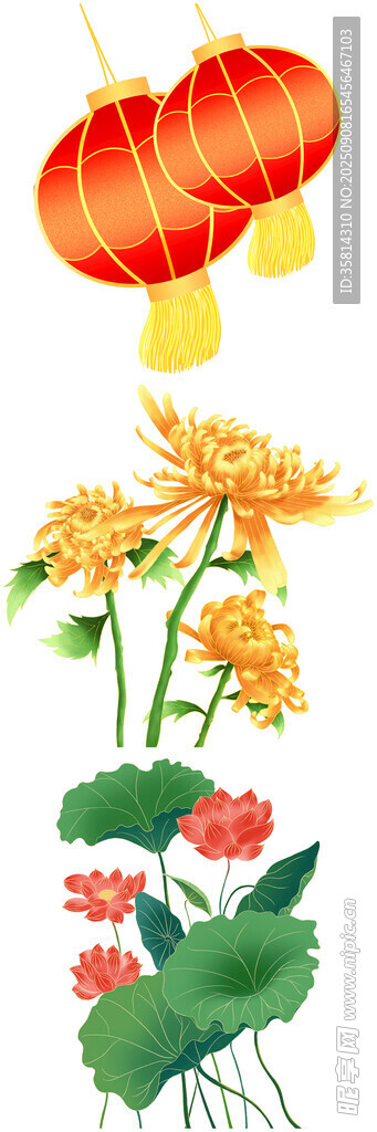 灯笼菊花装饰图